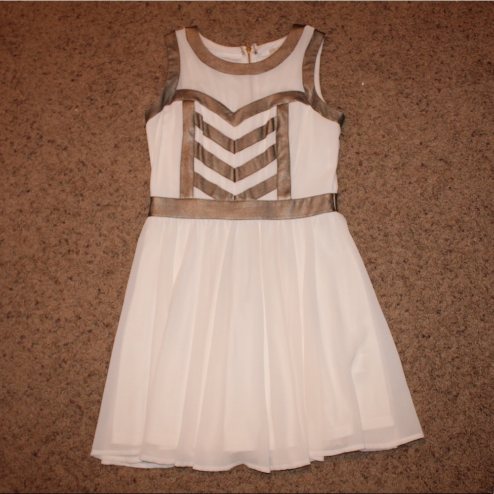 Gianni Bini Skater Dress